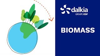 Biomass, what is it for? | Dalkia