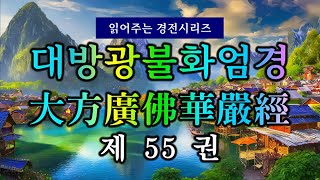 (#읽어주는 경전시리즈) 대방광불화엄경(大方廣佛華嚴經) 제55권 우리 모두 아뇩다라삼먁삼보리에 들어가리