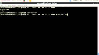 Linux Bash Shell Scripting If Else tutorial