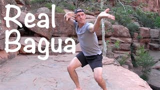 Real Bagua Zhang | Snake Body Palm Pakua Chang!