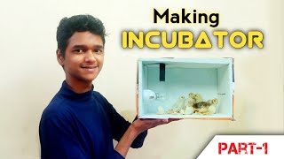 Making INCUBATOR  SETUP !  at Home | Incubator செய்யலாம் வாங்க!!! | Majestic Tamil.