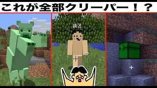 6 ドイヒーくんのマイクラ実況 村探しが大変すぎる ドイクラ マインクラフト ゲーム