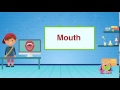 كلمات عربي - انجليزي (فم) | طيور بيبي