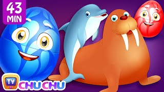 Learn Wild Sea Animals + More ChuChu TV Surprise Eggs Learning Videos SUPER COLLECTION 2