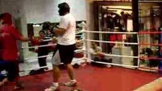 Andoni Sparring