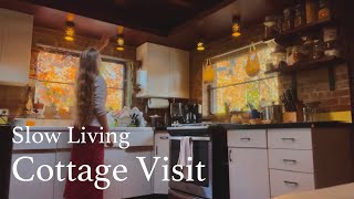 Cottage Tour, Slow Living Ideas, Silent Vlog, Cottagecore Fairy Friends, Hand Embroidery, Apple Pie