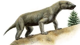 Cynognathus | Enciclopedia sobre Dinosaurios