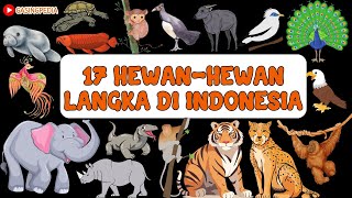 17 HEWAN-HEWAN LANGKA DI INDONESIA | HEWAN YANG TERANCAM PUNAH DI INDONESIA | NAMA HEWAN BINATANG