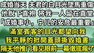 成婚当天  夫君愛慕的白月光墜馬重傷，他脫下喜袍   将我一人留在喜堂，「成婚事小，寧兒的安危最重要」，滿室賓客的目光都望向我，我平靜的掀開蓋頭撕毀婚書，隔天他推开门看见眼前一幕徹底瘋了！