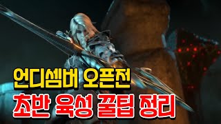 [언디셈버] 오픈전 초반 육성 가이드 정리