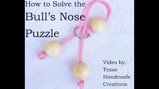 Bull's Nose Puzzle Solving and Re-Assembling