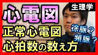 【心電図①】正常心電図と心拍数の計測【理学療法士・作業療法士】