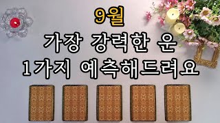 [타로/운세] 9월 종합운세 | 9월 가장 강력한 운 한 가지 예측해 드려요🌟🪄🔮