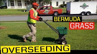 Bermuda Grass Spring Overseeding against lawn care experts advice