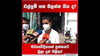 එල්ලුම් ගස බලන්න ගිය ද? - මධ්‍යවේදියාගේ ප්‍රශ්නයට චූලා දුන් පිළිතුර