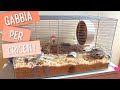 Come Allestire una Gabbia per Criceti #1 | Hamster Cage