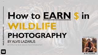 Top 10 Ways to earn Money through Wildlife Photography! Also, Tips for maximizing earnings as well!