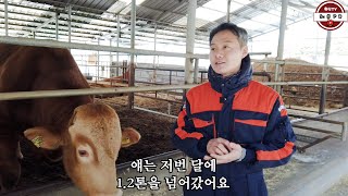 비거세우 한 마리를 남겨둔 이유. 그리고 농장의 축분을 처리하는 방법