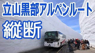 快晴！絶景 / 開通直後 / 立山黒部アルペンルート縦断 /「雪の大谷」ウォーク