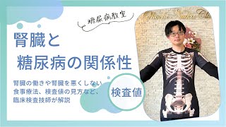 【糖尿病教室】腎臓と糖尿病の関係性　2023年3月16日