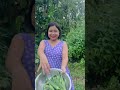 নিজ হাতেৰে লগোৱা ভেনদি instagramyoutube viralvideo