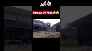 Miracle Of Allah 😲#shortsvideo #ytshorts #viral
