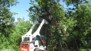 Bobcat T870 with Forestry Mulcher