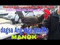 Dagsa Ang mga Quality Manok.... padre Garcia batangas...