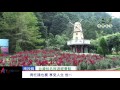 杉林溪景觀民宿推薦、溪頭景觀民宿推薦、南投竹山景觀民宿推薦 江澤休閒民宿 5