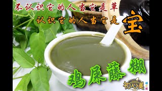 Herba Paederiae Paste 鸡屎藤糊