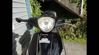 2011 piaggio fly