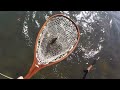 Fishing Putah Creek in the Heat Wave