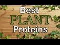 Best Plant Based Protein Powder 2018 (Top 5)