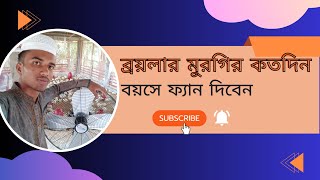 ব্রয়লার মুরগির কতদিন বয়সে ফ্যান দেওয়া যাবে। ১৫ দিন, ১০ দিন, ৫ দিন নাকি ৩ দিন। সঠিক নিয়ম জেনে নিন।