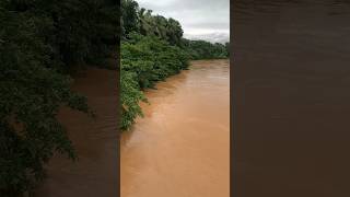 ഞങ്ങളെ ഇപ്പോഴത്തെ അവസ്ഥ💔🌊🍂#youtubeshorts #short #flood