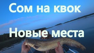 Сом на квок / Новые места