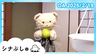 【赤ちゃんが喜ぶ】シナぷしゅ公式25/02/19│赤ちゃんが泣き止む・知育の動画