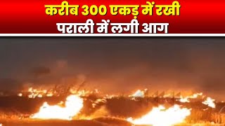 Dhamtari के कोलियारी गांव में पराली में लगी आग | करीब 300 एकड़ में रखी पराली में लगी आग