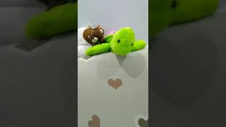 More Apple Bottom Jeans
