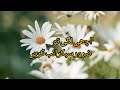 یہ حدیث ضرور پڑھیں highlights viwes 100million 1000subscrib 1000subscribe islamicvideo hadith