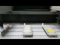 Tecan Freedom EVO-2 200 Liquid Handler 10641200 Workstation Span-8 Plate Gripper - 9917