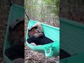 Hammock Tips and Tricks #1 #shorts