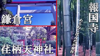 【鎌倉宮 / 荏柄天神社 / 報国寺 】神奈川県鎌倉市を、めるねこぱんだが参拝