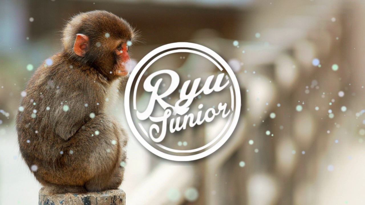 Kevin McLeod - Monkeys Spinning Monkeys (Ryu Junior Remix) - YouTube