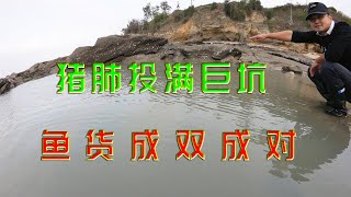 300平巨无霸坑投猪肺打窝，7天后鱼货成双成对，这运气不一般