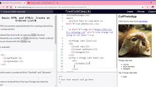 Learn Basic HTML and HTML5 Create an Ordered List freeCodeCamp
