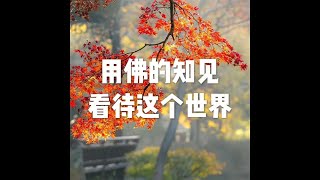 201812 用佛的知见看待这个世界24070