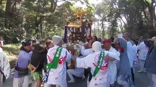 [HD]建国記念の日奉祝パレード(平成28年)