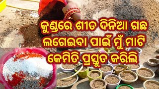 Winter Plants Ke Liye Soil Media Keisha Hona Chahiye//ପୁରୁଣା ମାଟିକୁ ନୁଆ ରୂପ//