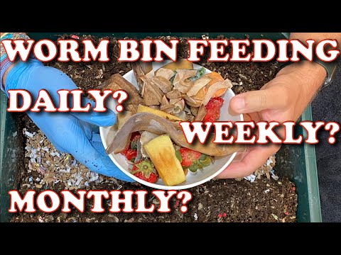 Do earthworms eat kitchen scraps?